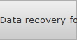 Data recovery for Minot data